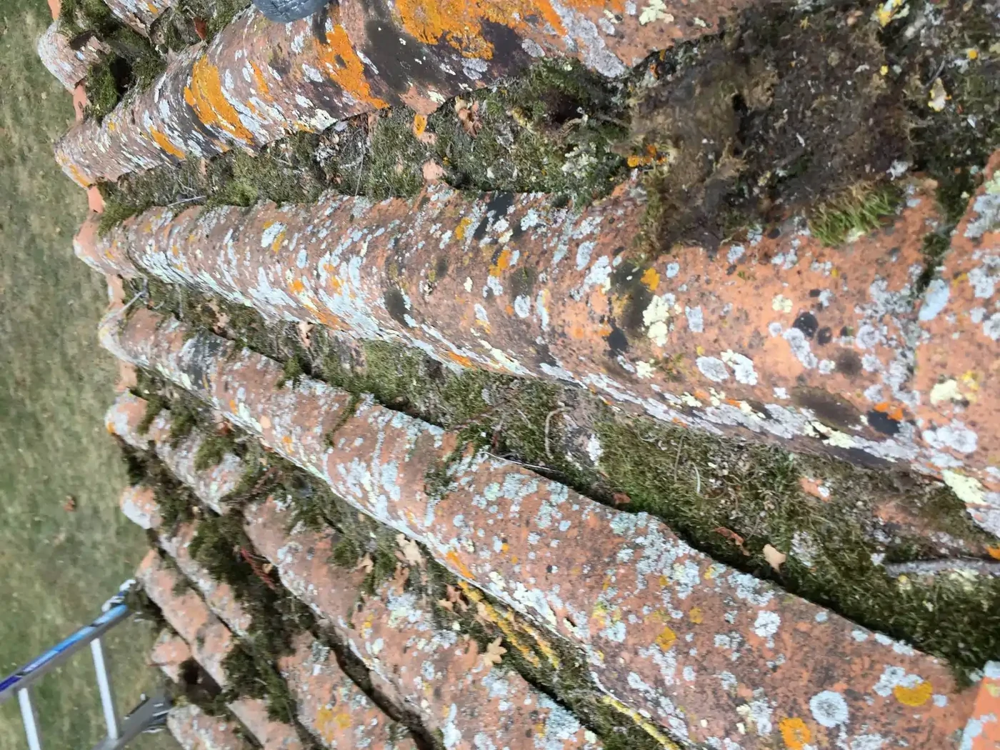 Demoussage manuellement 